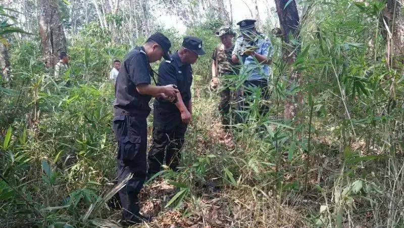 野象伤人致1人死亡