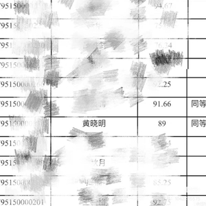 黄晓明考博