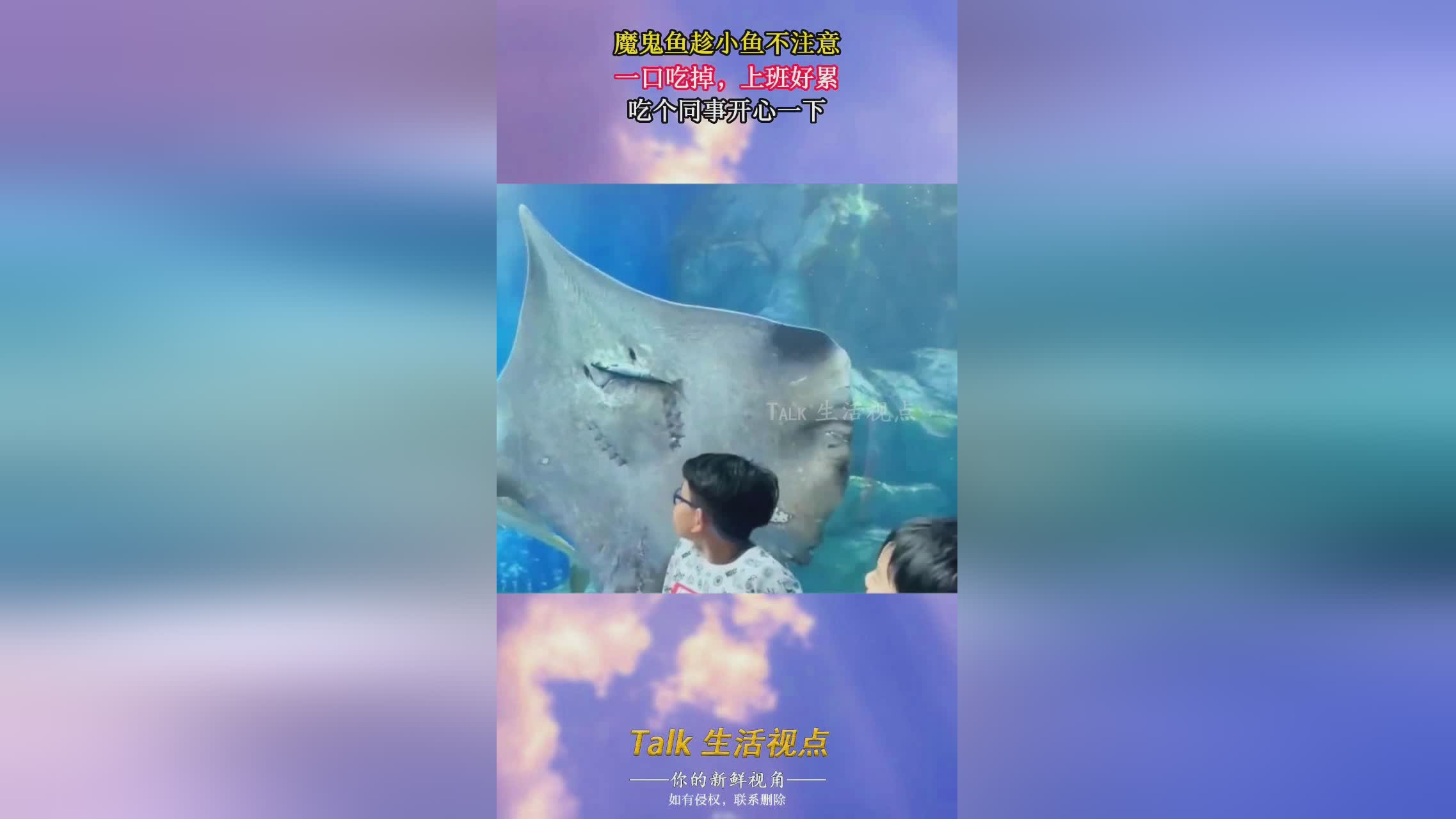 魔鬼鱼上班吃同事