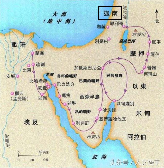 联合国：加沙面临饥荒风险