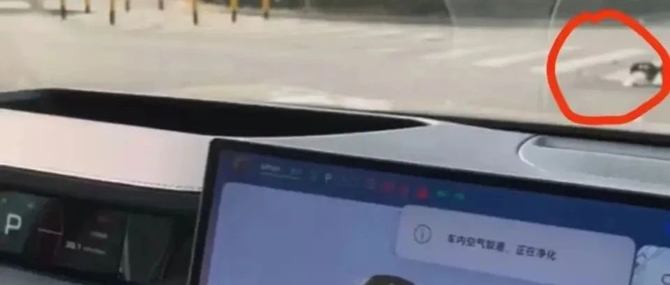 娱乐生活 第5页