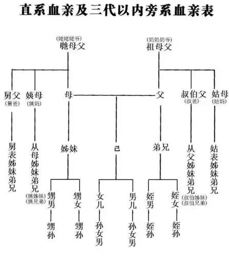 继父去世 祖孙三代10人验血认祖
