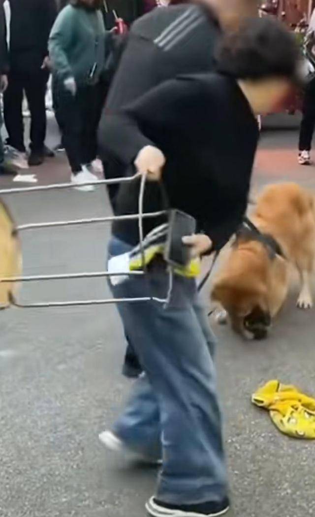 惊险！女子出门遛狗猝不及防被狗子拽倒，如何避免类似意外？