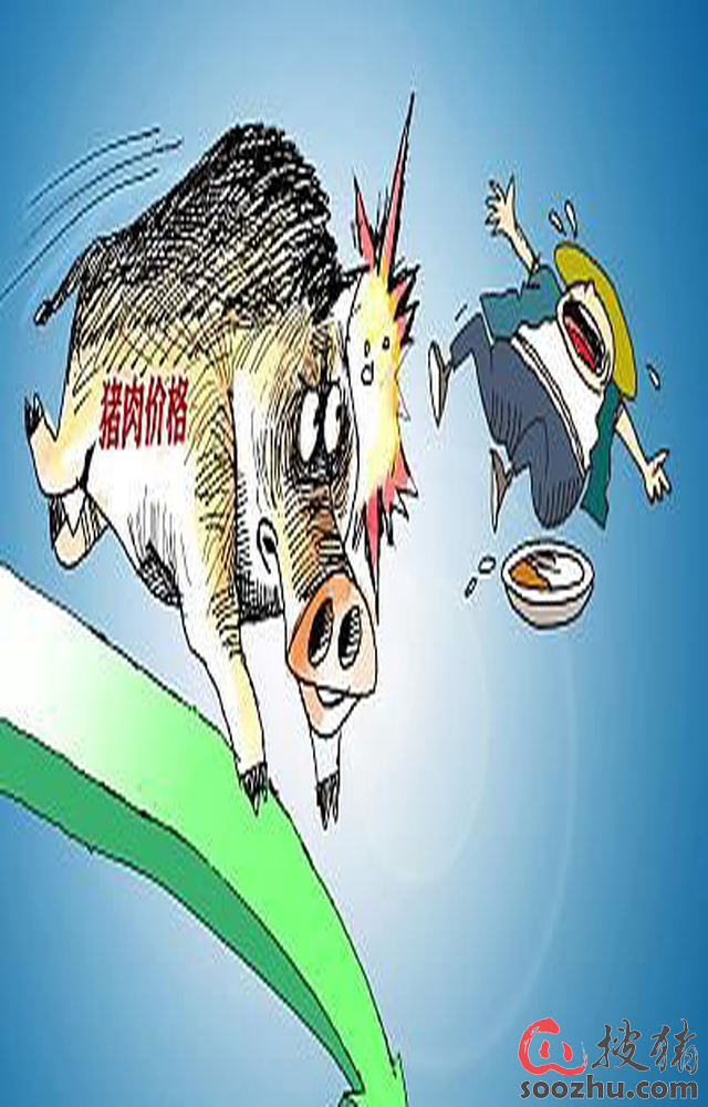 猪肉需求不佳 本周猪价继续回落！市场寒冬何时迎来转机？